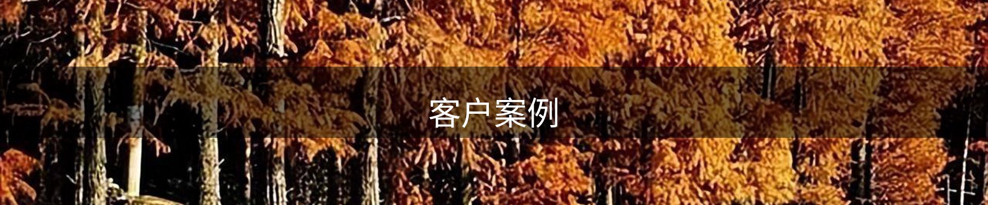 客户案例